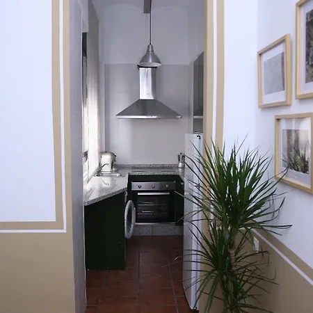 A 20 Metros De La Mezquita Catedral ,apartamentos Turistico Cespedes 5 Appartement Cordoue