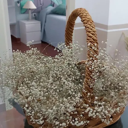 A 20 Metros De La Mezquita Catedral ,apartamentos Turistico Cespedes 5 Apartment *