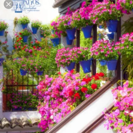 A 20 Metros De La Mezquita Catedral ,apartamentos Turistico Cespedes 5 * קורדובה