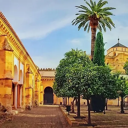 דירה A 20 Metros De La Mezquita Catedral ,apartamentos Turistico Cespedes 5 קורדובה