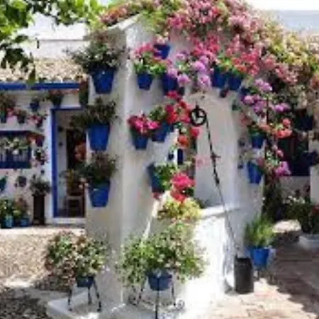 A 20 Metros De La Mezquita Catedral ,apartamentos Turistico Cespedes 5 דירה קורדובה