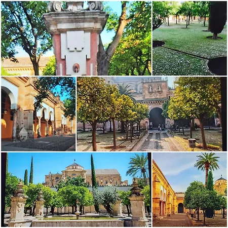 A 20 Metros De La Mezquita Catedral ,apartamentos Turistico Cespedes 5 דירה קורדובה