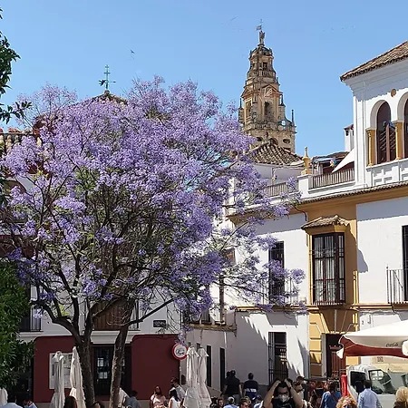 A 20 Metros De La Mezquita Catedral ,apartamentos Turistico Cespedes 5 דירה *