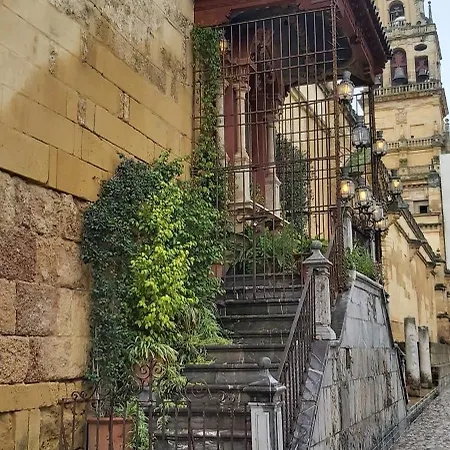 A 20 Metros De La Mezquita Catedral ,apartamentos Turistico Cespedes 5 דירה קורדובה