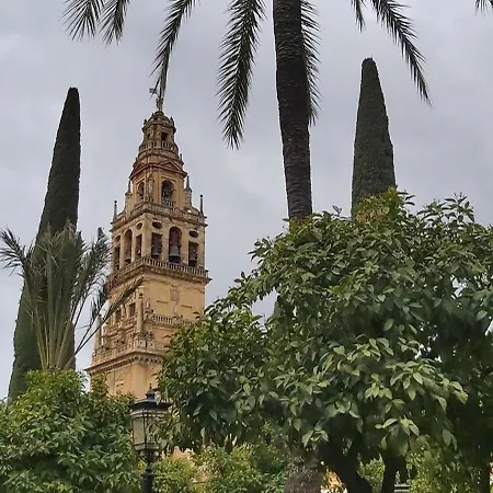 A 20 Metros De La Mezquita Catedral ,apartamentos Turistico Cespedes 5 דירה קורדובה